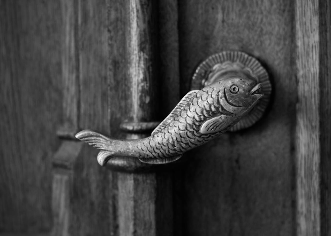 Elegant fish-shaped metal door handle captured in black and white.